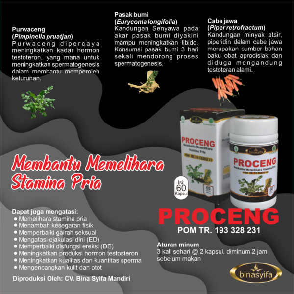 PROCENG - Obat Kuat Pria Stamina - Image 4