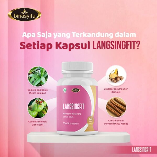 LANGSINGFIT Obat Diet Herbal Penurun Berat Badan - Image 2